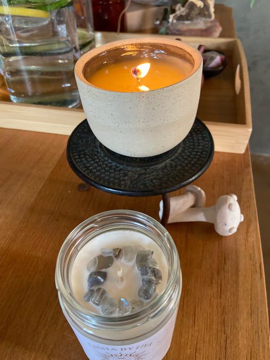 Cuddles | Cashmere Vanilla & Exotic Musk